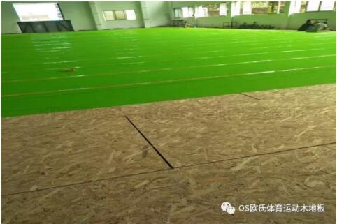 㶫YBDL HOOP PARK԰ɹ